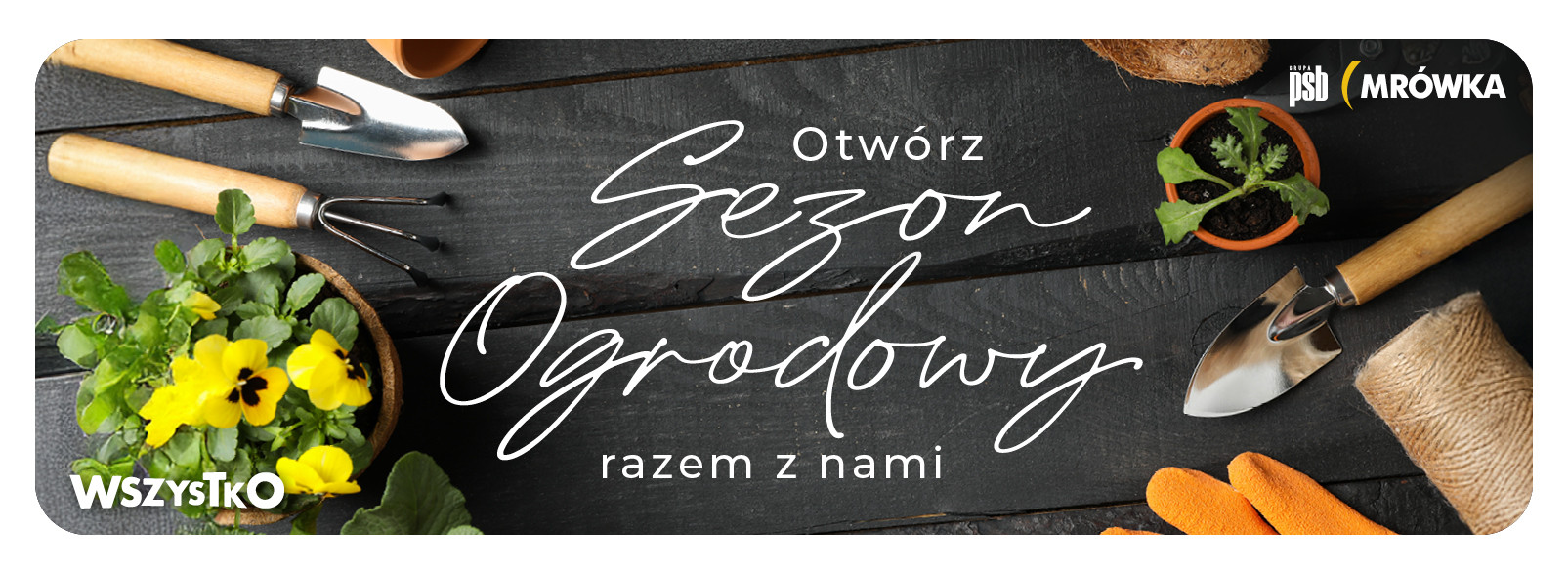 Grupa PSB mrowka Mrówka Międzychód