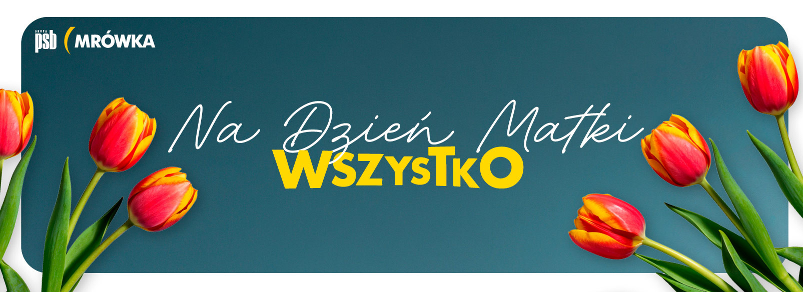Grupa PSB mrowka Mrówka Międzychód