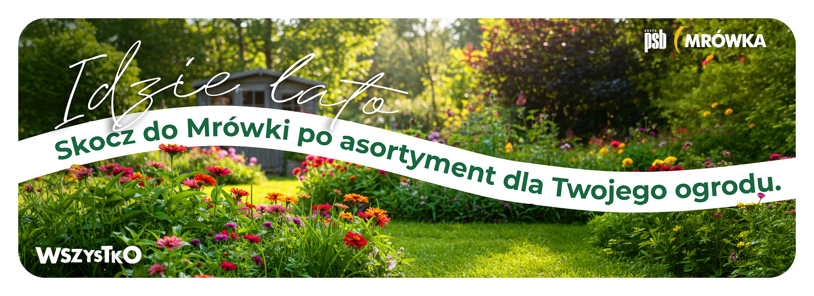 Grupa PSB mrowka Mrówka Międzychód