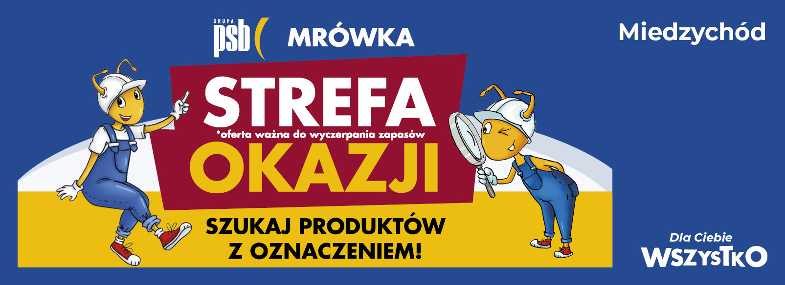 Grupa PSB mrowka Mrówka Międzychód